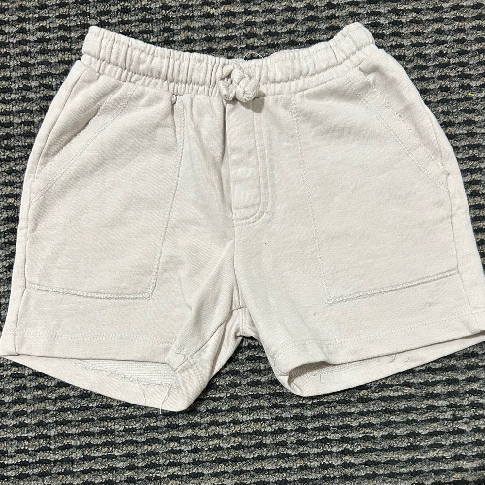 Zara Shorts